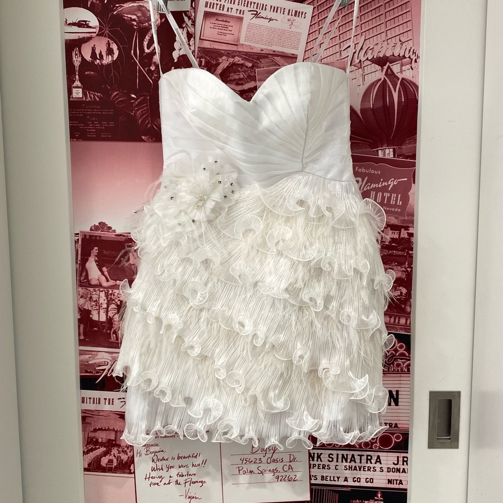 Fun, Gorgeous dress. Size 8. Shoulder straps included. Ruffles and feathers